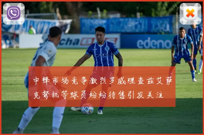 中锋市场竞争激烈罗威理查兹艾萨克弩机等球员纷纷待售引发关注