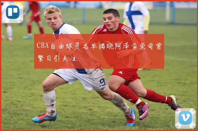 CBA自由球员名单揭晓阿泽黄荣奇曾繁日引关注