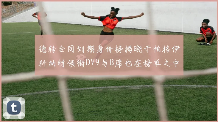德转合同到期身价榜揭晓于帕格伊科纳特领衔DV9与B席也在榜单之中