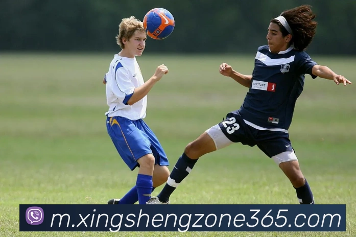 杏盛娱乐平台生态图