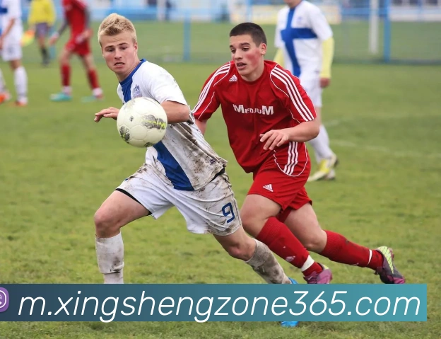 杏盛娱乐全站App