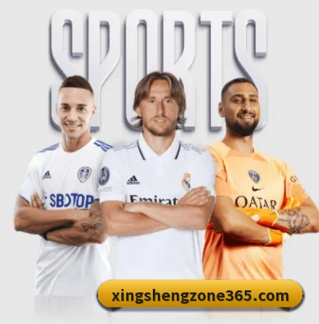 每个板块围绕一个运动项目展开（XingSheng）