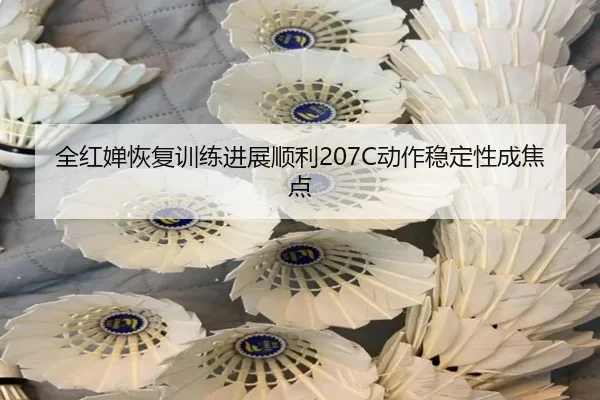 全红婵恢复训练进展顺利207C动作稳定性成焦点（XingSheng）